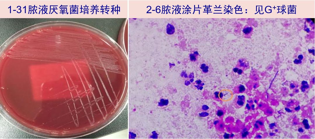 澳门新葡平台网址8883