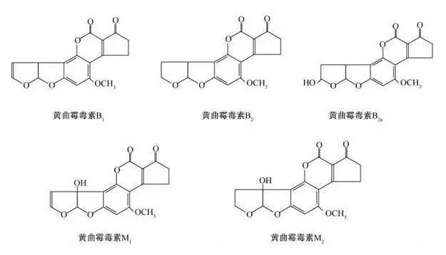 澳门新葡萄平台网址8883